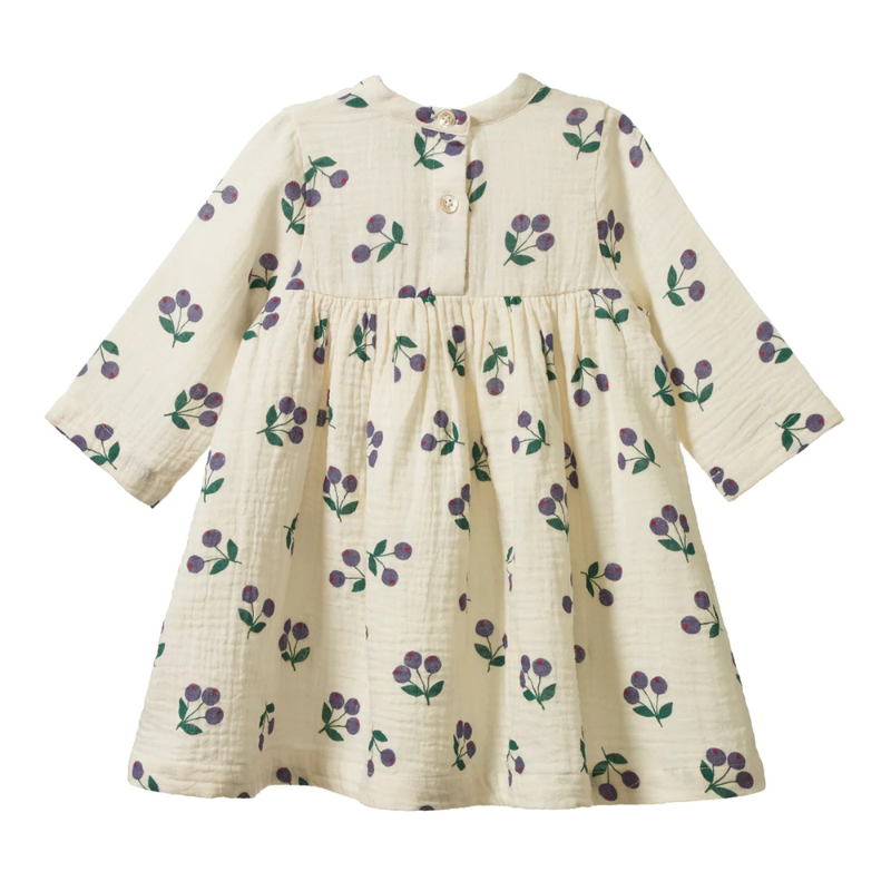 Nature-Inspired Berry Blossom Pattern – Elegant Cold-Season Botanical Print