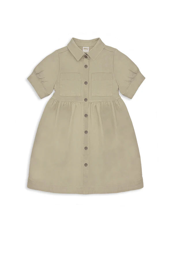 Girls Classic Ruffle Puff Sleeve Dress – Adorable Casual & Party Wear Dress